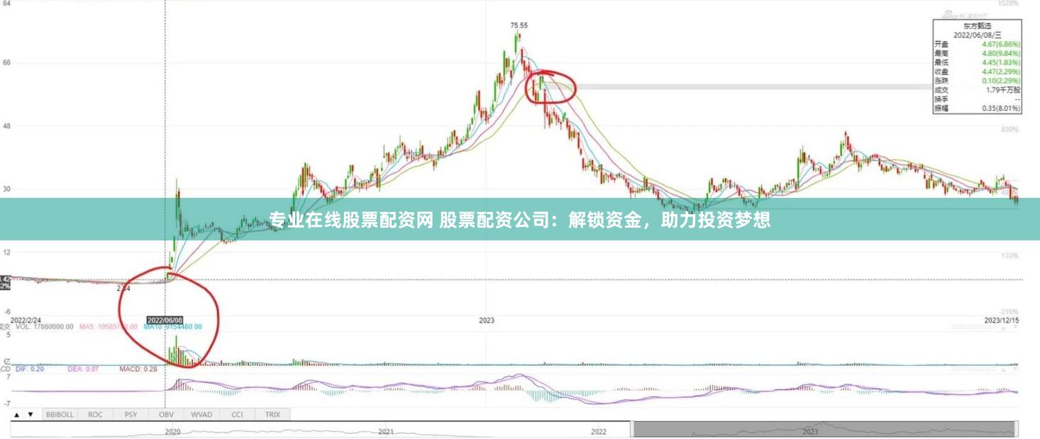 专业在线股票配资网 股票配资公司:解锁资金,助力投资梦想
